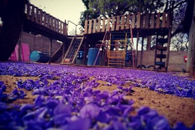 Police investigating after teachers caught beating children at Pretoria crèche