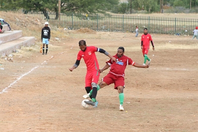 Lions vs Birds in tournament