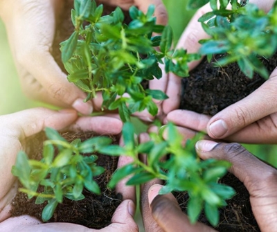 Dana Bay Conservancy information day