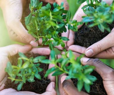 Dana Bay Conservancy information day