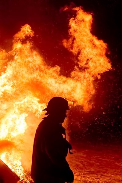 Garden Route Wildfire: Wild Olive Reserve