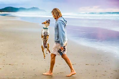 Honde onwelkom op strande