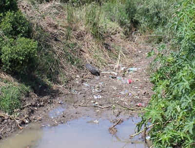 Impact of climate change on freshwater management