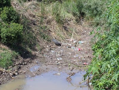 Impact of climate change on freshwater management