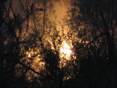 Festive season fire at caravan park started by children