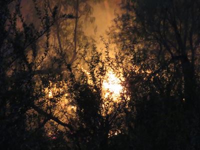 Festive season fire at caravan park started by children