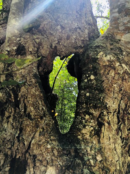 ‘n Kwessie van perspektief