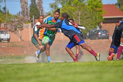 Knysna opens Kanna worms for rivals