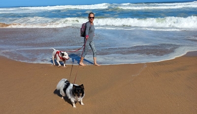 Beat the heat: Keep your pets cool this summer