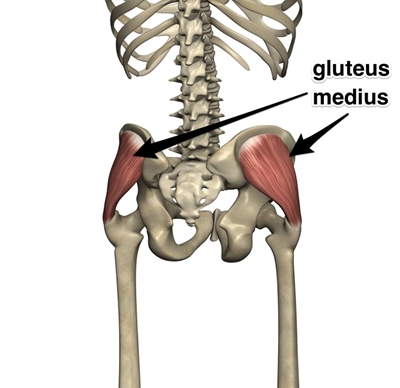 Hip rehabilitation continued