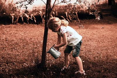 Planting trees mitigates climate change