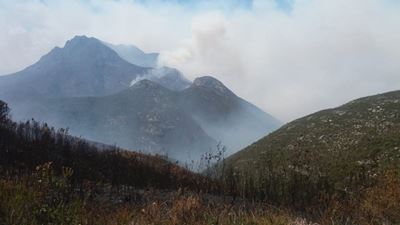 Update: Veldfire on Outeniqua mountain