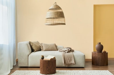 The 2023 Plascon colour combination