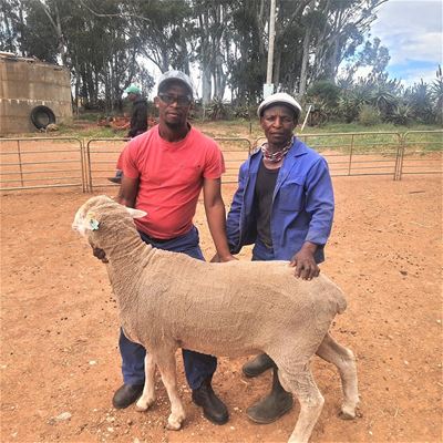 Kleinboere help en word beloon
