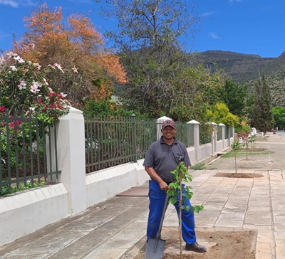 First Tree Committee takes root in town