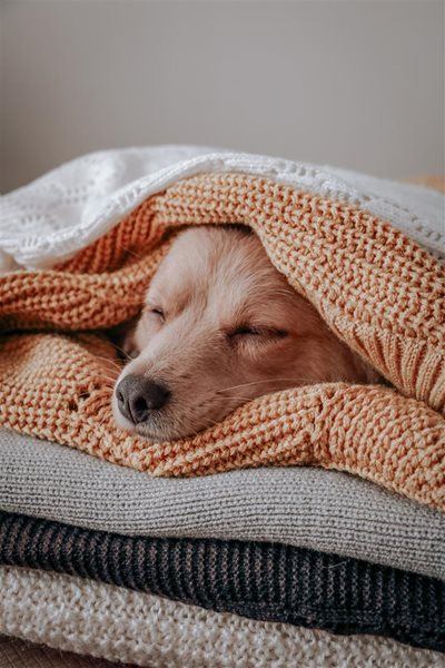 Energy-wise ways to get ready for winter