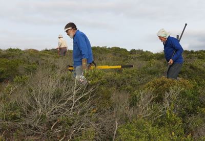 Bewaringstrust se oorlog teen indringerplante