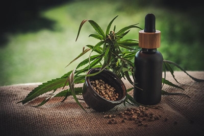 ‘SA well-positioned to become leader in cannabis production’