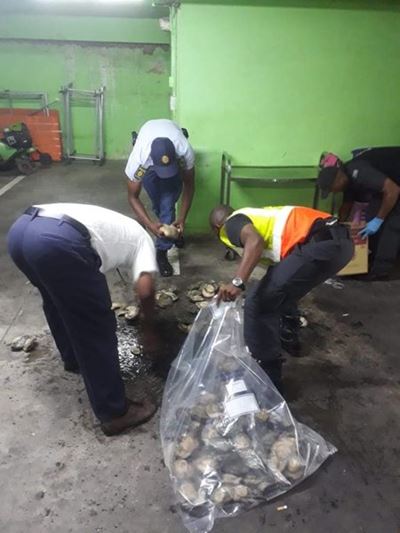 Abalone confiscated at the Durban business premises