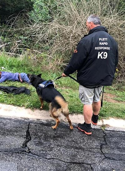 Two busy weeks for Plett crime fighters