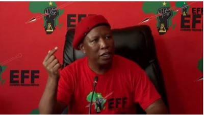 Malema told us Mpofu could be Zuma’s lawyer in future