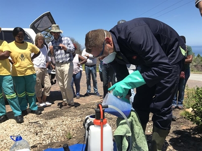 Team taught to kill invasive plants