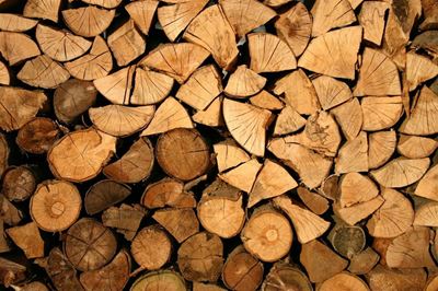 Minister welcomes forestry’s contribution to GDP