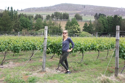 Houtbosch Wines & Craft Beer - The taste of the Outeniqua