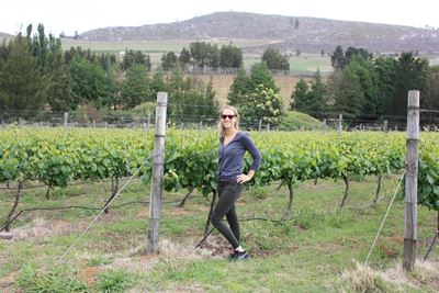 Houtbosch Wines & Craft Beer - The taste of the Outeniqua