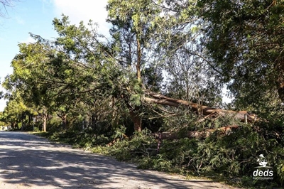 Extreme weather causes damage