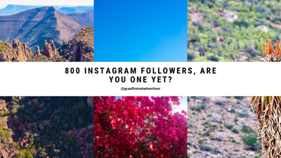800 followers on Instagram!