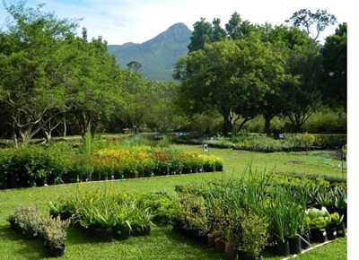 Garden Route Botanical Garden turns 25