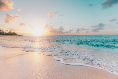 Comment invited on coastal management programme
