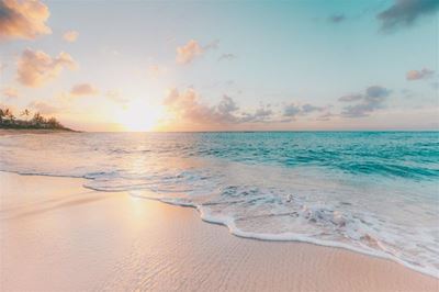 Comment invited on coastal management programme
