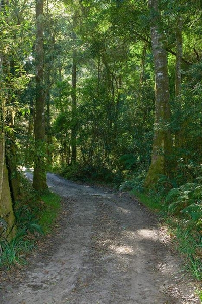 Garden Route boasts 19 Green Flag trails
