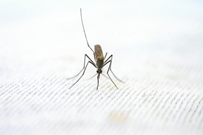 How to stop five-year-olds from dying every minute this World Malaria Day 