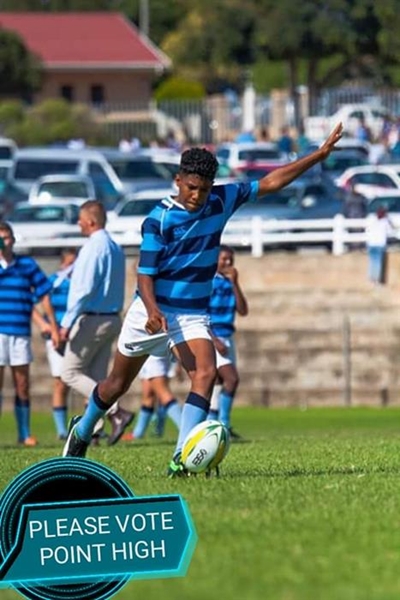 Stem vir Punt
