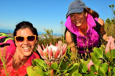 Bumper festive season for tourism in George