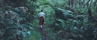 Silwerskermfees: 'Toorbos' gekies as sluitingsfilm
