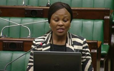 Mkhwebane lays criminal charges against minister of state security 