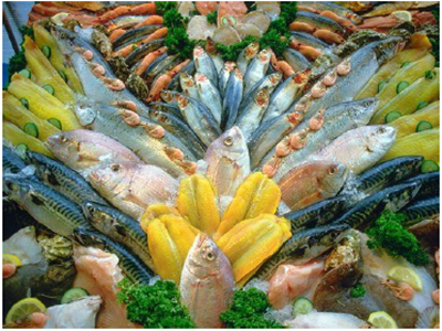Celebrate International Biodiversity Day