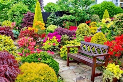 The most trendy colours for your garden