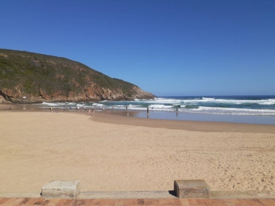 Tourist saved from drowning
