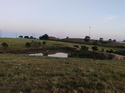 Rosedale-dam weer in die kollig