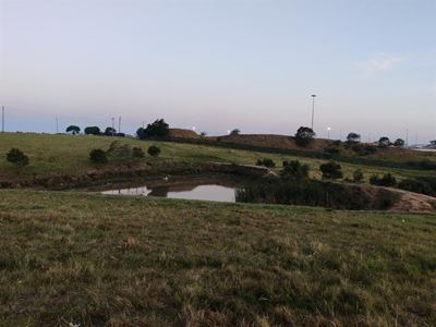 Rosedale-dam weer in die kollig