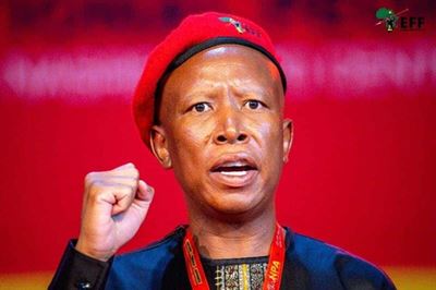 Malema’s revenge politics puts ANC on notice