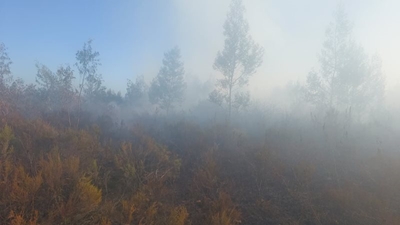 Garden Route wildfire contained: Little Brak, Brandwacht and Mossel Bay areas 