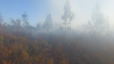 Garden Route wildfire contained: Little Brak, Brandwacht and Mossel Bay areas 