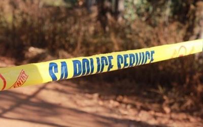 Vandalism claims five-year-old's life