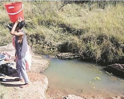 Limpopo residents still share water with dogs, monkeys, cattle